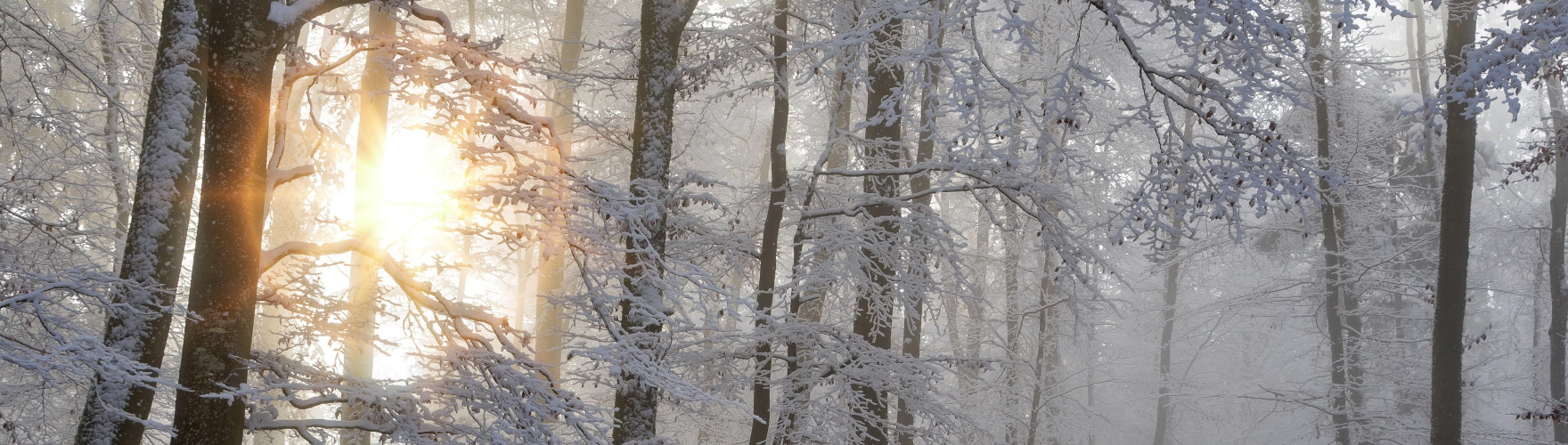 NOTICE - Christmas holidays from 20. 12. 2025 to 4. 1. 2026